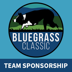 Randomly Assigned Team Sponsorship